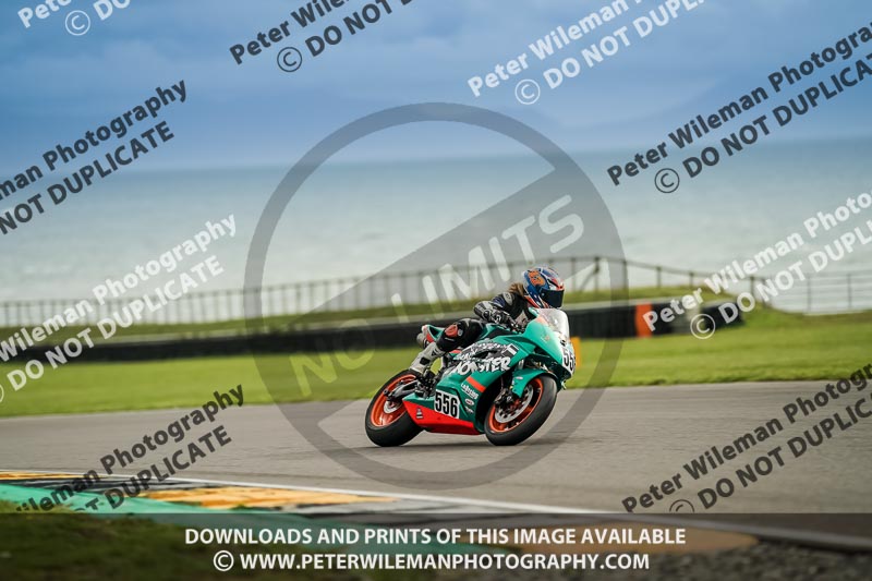 anglesey no limits trackday;anglesey photographs;anglesey trackday photographs;enduro digital images;event digital images;eventdigitalimages;no limits trackdays;peter wileman photography;racing digital images;trac mon;trackday digital images;trackday photos;ty croes